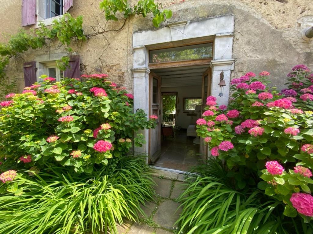 Maison D'Hotes-Maison Castaings Lucq-de-Bearn Bagian luar foto